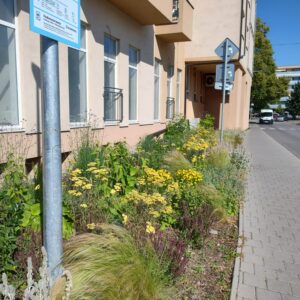 IMG-20250620-WA0026