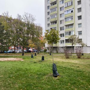 Kollarova_A_2