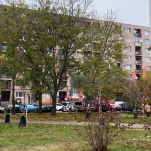 Kollarova_A_3
