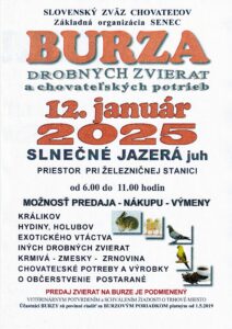 Burza 1_2025