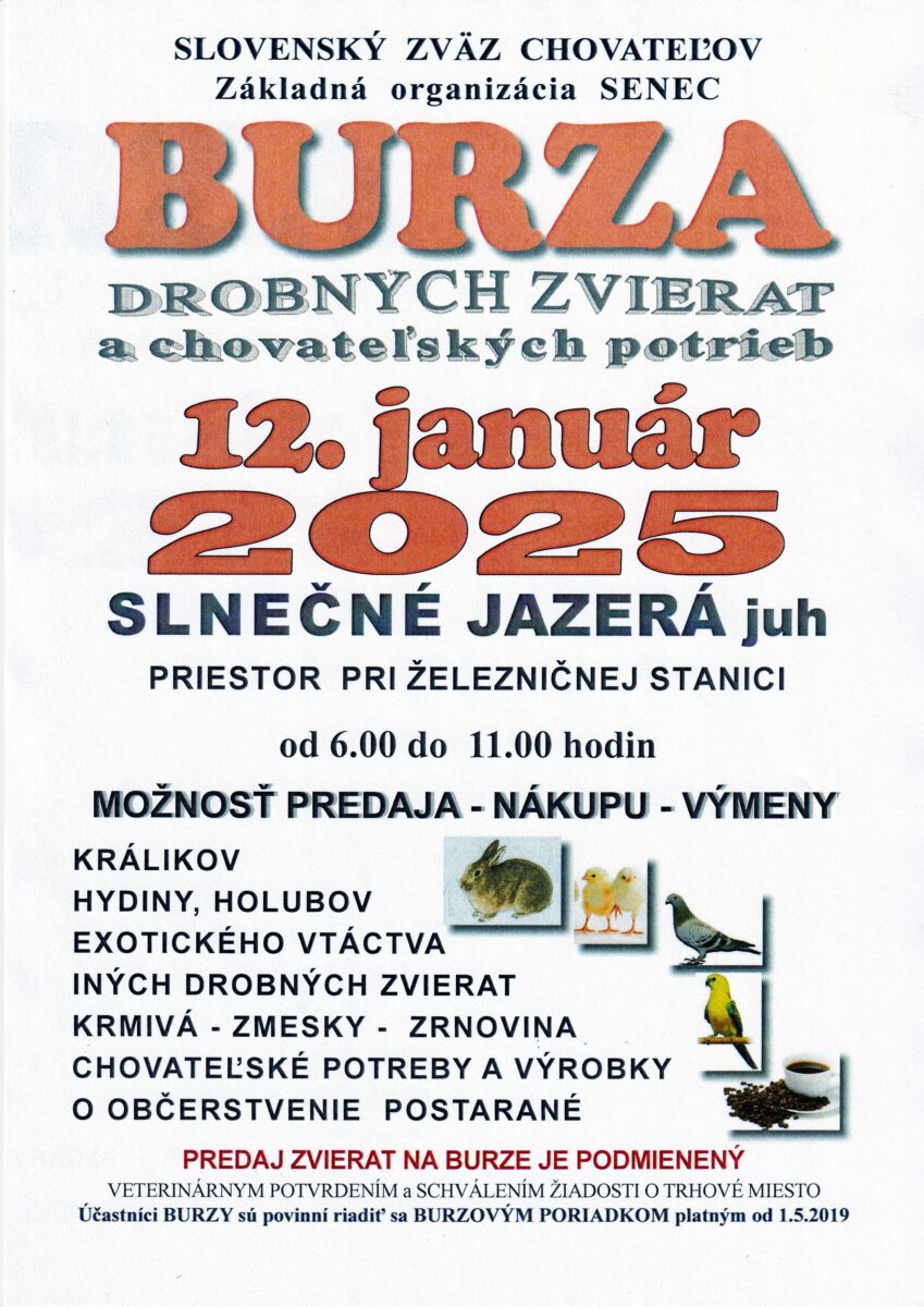 Burza 1_2025