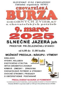 Burza 03 2025