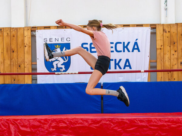 Senecka-latka-ilustracna