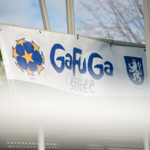 GaFuGa2025-09