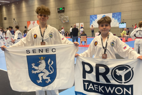 TaekwonDo2