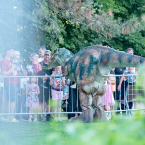 DinoPark-03