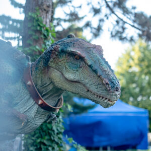 DinoPark-05