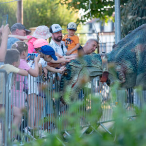 DinoPark-06