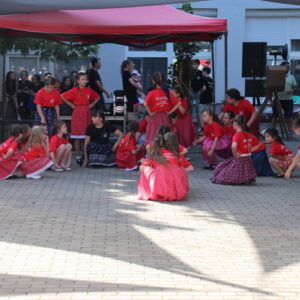 IMG_1159_resize