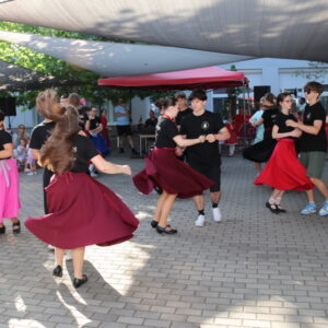 IMG_1173_resize