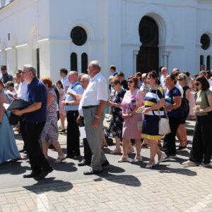 IMG_1335_resize