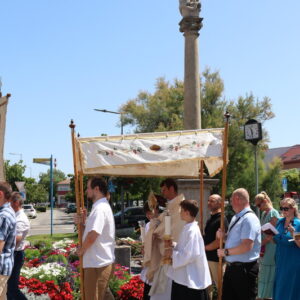 IMG_1353_resize