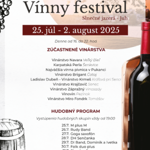 SVF_2025_Plagat_web_1200x1700_2