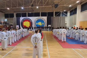 TaekwonDo II2