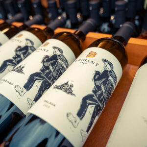 Vinnyfestival2025-08