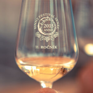 Vinnyfestival2025-34