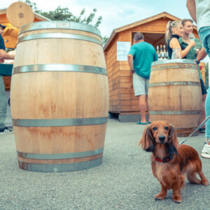 Vinnyfestival2025-61