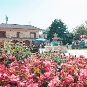 Rozpravkovy-piknik-ZO-05