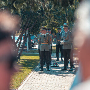 33-DenUstavySR2025-01