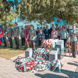 33-DenUstavySR2025-51
