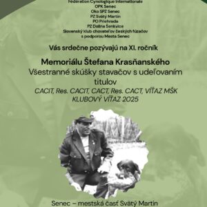 Plagát_Memoriál Štefana Krasňanského 2025