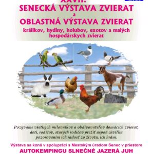 Výstava