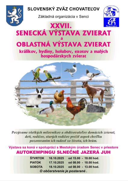 Výstava