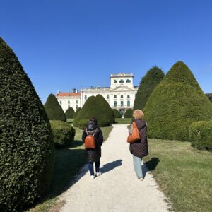IMG_8012