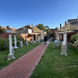 IMG_8036