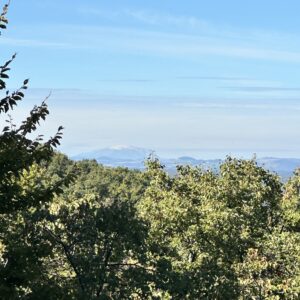 IMG_8127