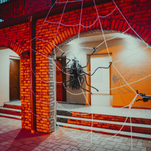 www.viktorifoto.sk