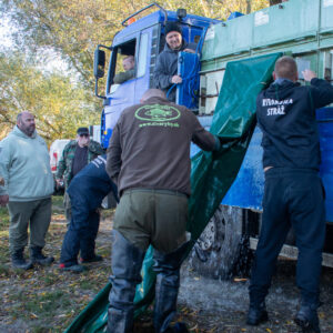 Zarybnovanie-Senec202512