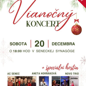 Vianocny-koncert-AnetaHornakova