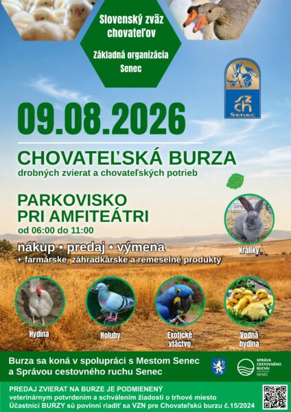 Burza_Senec_august