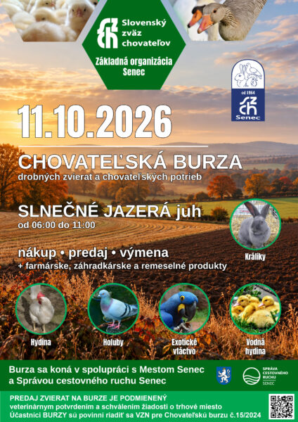 Burza_Senec_október