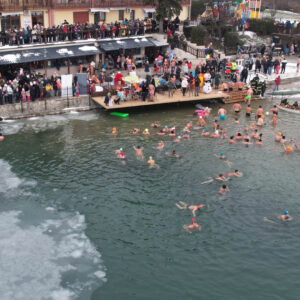 Ladove-medvede-20264