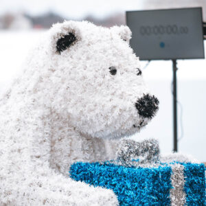 Ladove-medvede-20267