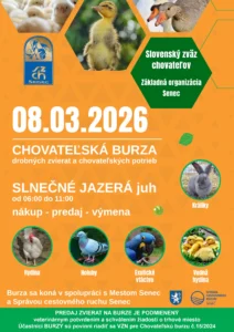 SZCH_08_03_26_Online