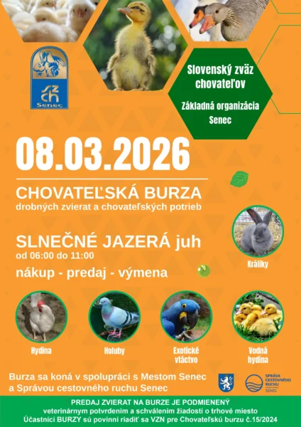 SZCH_08_03_26_Online