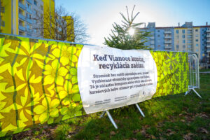 Zber-vianocnych-stromcekov