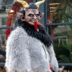 Fasiangovy-sprievod-2026-Senec7