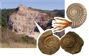 Mali-sme-na-slovensku-more-Hyzny