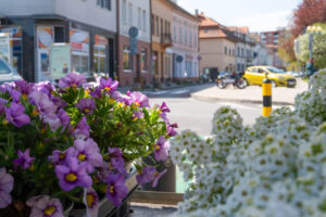 Podujatia na 13. týždeň