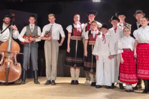 DFS Slnečnica v zlatom a striebornom pásme