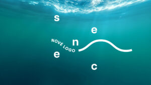 Nove-logo-Senec