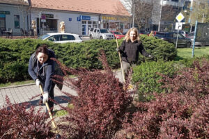 Spoločná brigáda útvarov