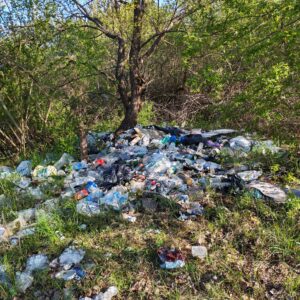 WhatsApp Image 2026-04-11 at 11.18.56 (1)