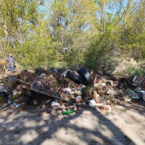 WhatsApp Image 2026-04-11 at 11.18.56 (2)