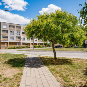 Cyklo Sokolska 2