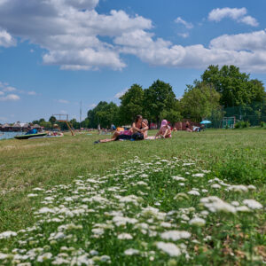 OMU_20821